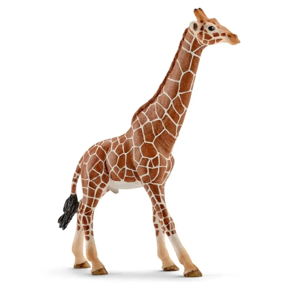 Schleich 14749 Kirahvi, uros