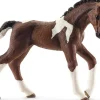 Schleich 13758 Trakehnenin hevonen, varsa