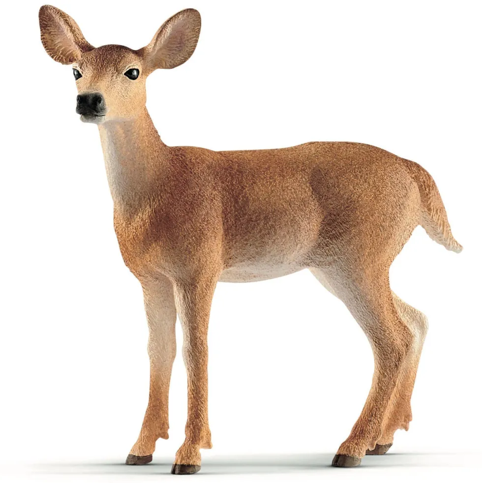 Schleich 14819 Valkohäntäpeura, naaras