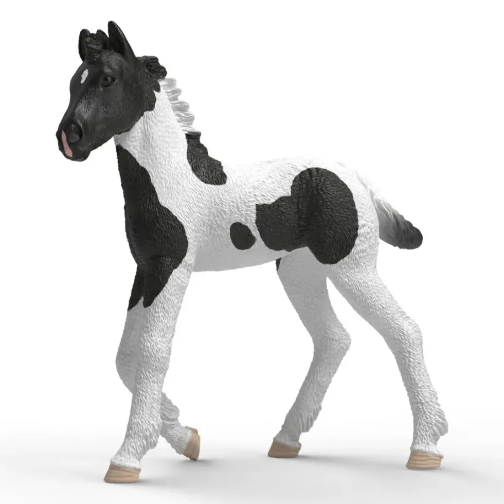 Schleich 81481 varsa Rocky - Limited edition series 2